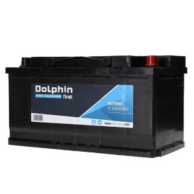 DOLPHINE First batterie calcium 95 Ah