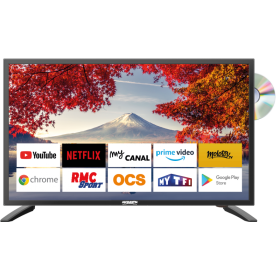 Smart TV 19'' DVD Android 9.0 ANTARION - télévision smart 12V avec applications connectées pour camping-car.