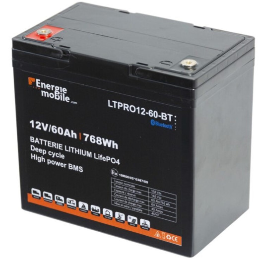 Chargeur de batterie AGM LiFePO4 pour voiture et moto 12V24V double tension
