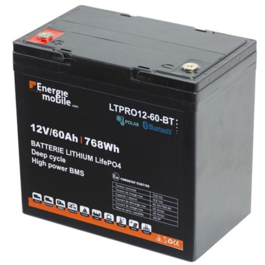 EM Batterie lithium LTPRO 12-60 Ah - 768 Wh